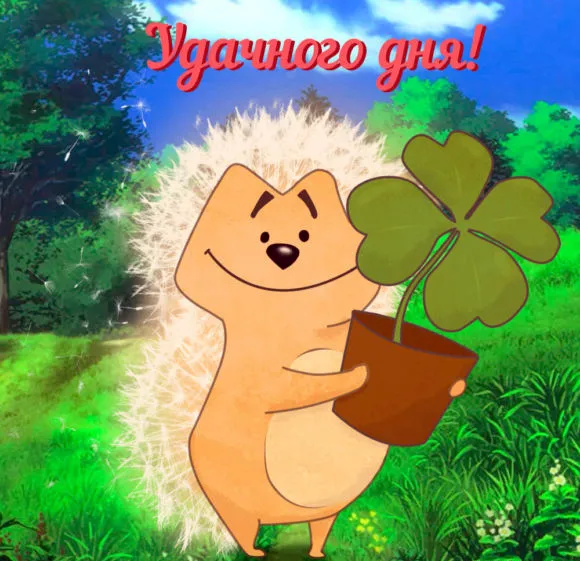 Открытка Удачного дня - Еж с клевером на лугу: открытка с днем рождения | Красивая открытка #15