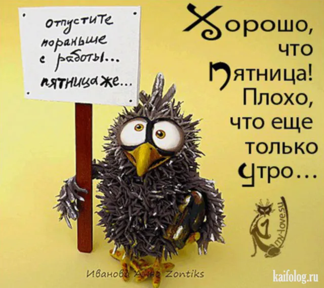 Открытка Хорошей пятницы - Сова на открытке: милая птица с большими глазами | Красивая открытка #16