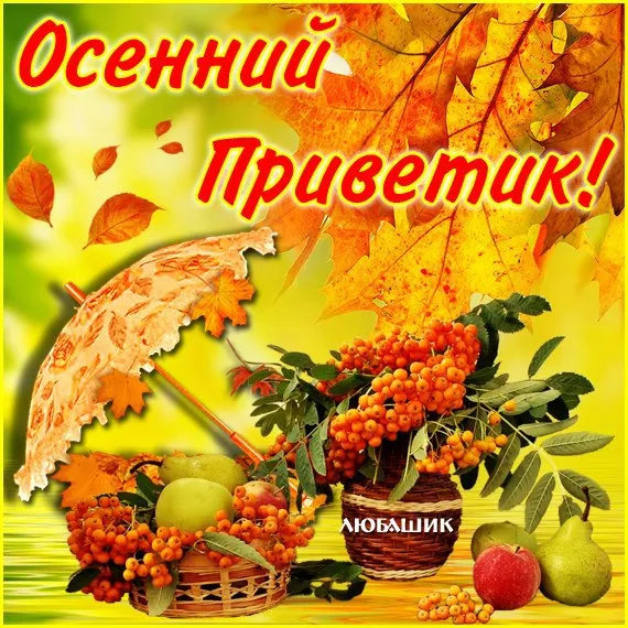 Открытка осенний привет - Осенние яблоки и рябина в корзине  Открытка | Красивая открытка #27