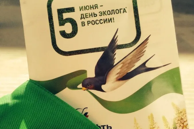 Открытка День эколога - Открытка с ласточкой: День птиц  экологичный подарок | Красивая открытка #11