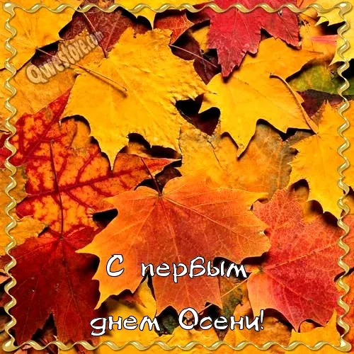 Открытка Первый день осени - С Днем Осени: Красивая открытка с осенними листьями | Красивая открытка #26