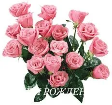 Открытка Открытки с цветами - Букет розовых роз: нежные цветы для поздравлений | Красивая открытка #127