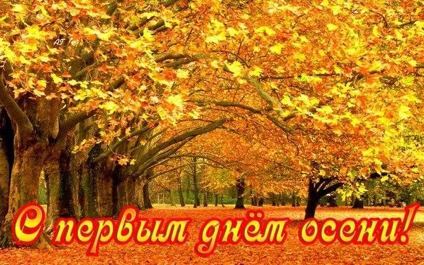 Открытка С первым днём осени - Золотая осень: фото для открытки | Красивая открытка #5