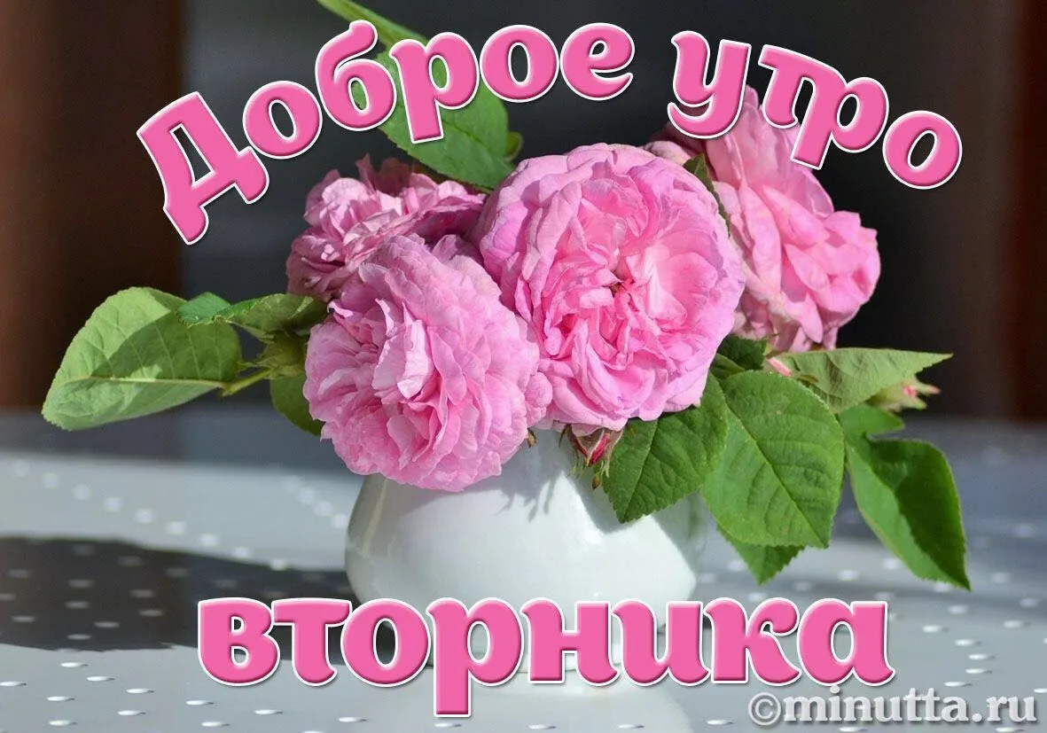 Открытка Доброе утро вторник - Розы в вазе: нежные открытки с днем рождения и не только | Красивая открытка #18