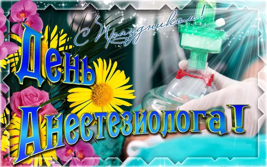Открытка День анестезиолога  - Праздничная открытка: розы, подсолнухи, цветы | Красивая открытка #35