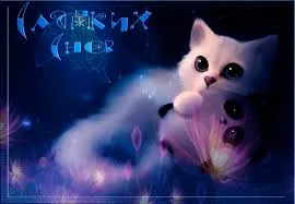 Открытка Открытки с пожеланиями на ночь - Милый котёнок с бабочкой: открытка с волшебством | Красивая открытка #191