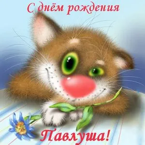 Открытка Открытки с именем Павел  - Открытка с котенком: С днем рождения! | Красивая открытка #92