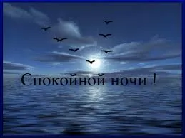Открытка Открытки с пожеланиями на ночь - Ночное море, птицы, луна  открытка с пейзажем | Красивая открытка #119