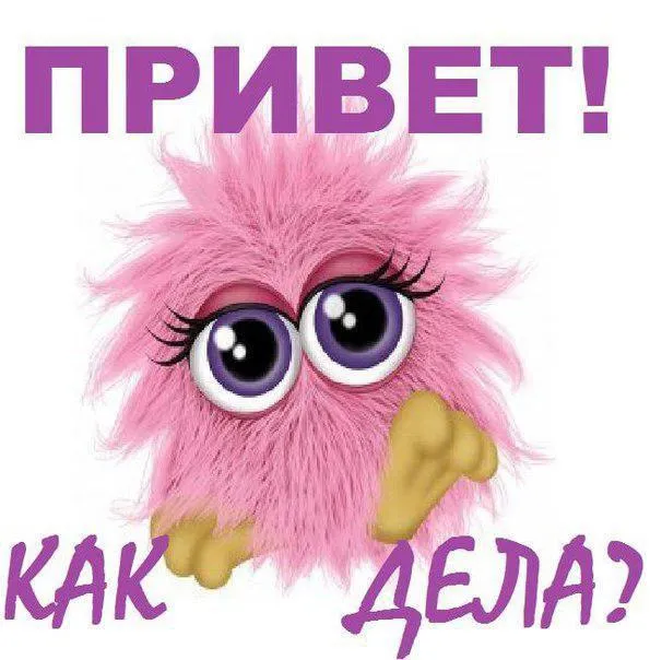 Открытка Привет - Розовая пушистая птица с большими глазами. | Красивая открытка #47