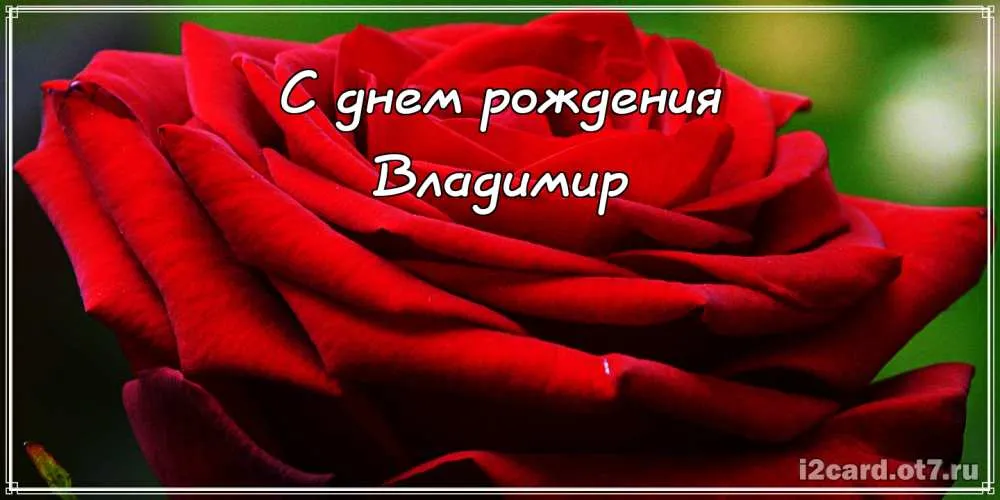 Открытка открытки с именем Владимир - Красная роза: открытка с днем рождения | Красивая открытка #186