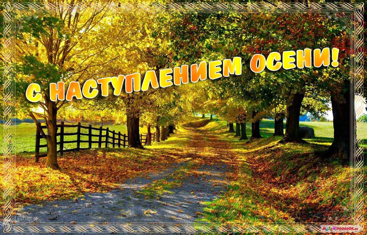 Открытка С первым днём осени - Осенние открытки: яркие листья и золотая пора | Красивая открытка #10