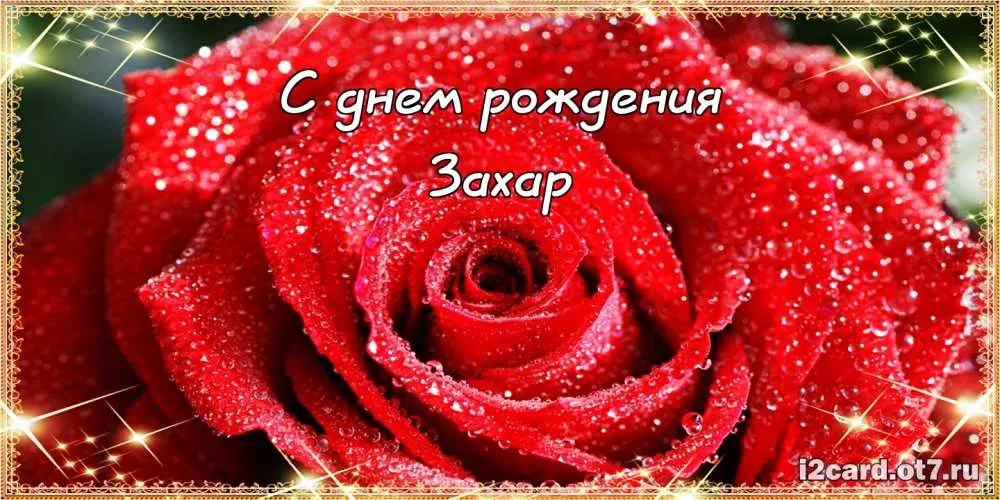 Открытка открытки с именем Захар - Алая роза на открытке: День рождения | Красивая открытка #165