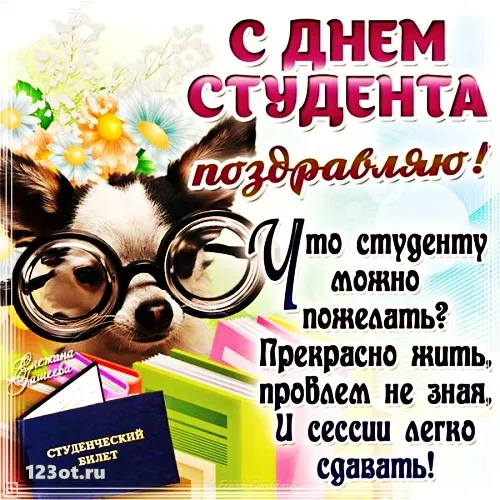 Открытка Открытки с днем студента - Собака в очках, открытка с днем рождения | Красивая открытка #78
