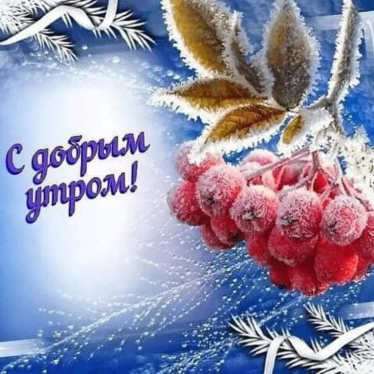 Открытка Открытки доброе зимнее утро - Зимние ягоды и шишки: Новогодние открытки | Красивая открытка #18