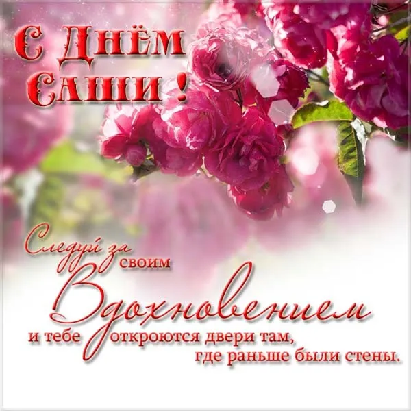 Открытка открытки с именем Александр - Открытка с цветами: Розы, пионы, поздравления | Красивая открытка #242