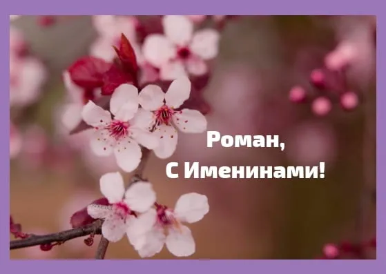 Открытка Открытки с именем Роман - Цветущая вишня: Открытка с Днем Рождения | Красивая открытка #92