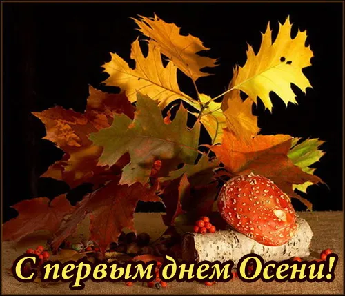 Открытка Первый день осени - Осенние листья, грибы и ягоды: открытка с Днем Осени | Красивая открытка #69