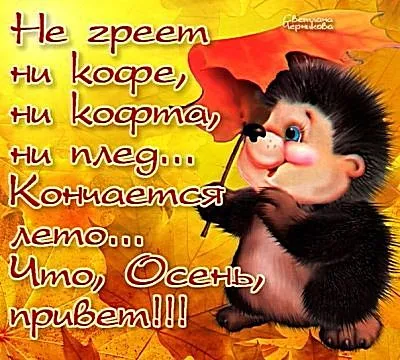 Открытка С последним днем лета! - Ежик на фоне осенней листвы. Открытка. | Красивая открытка #30