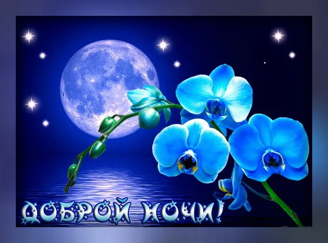 Открытка Доброй ночи - Открытка: Синий закат с орхидеями | Красивая открытка #124