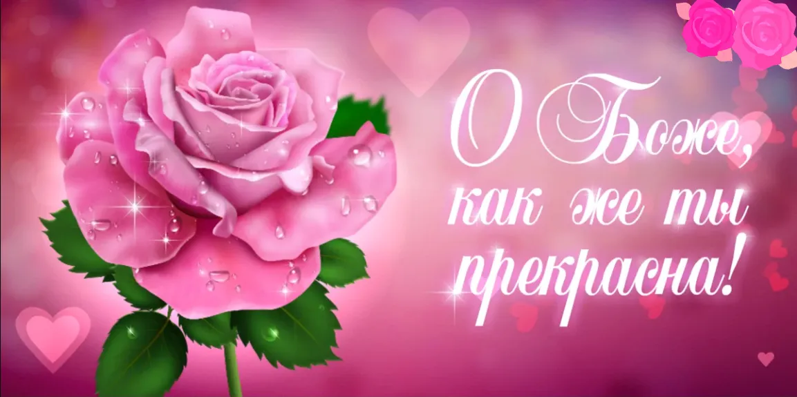 Открытка Ты прекрасна - Розовая роза с каплями росы | Красивая открытка #3