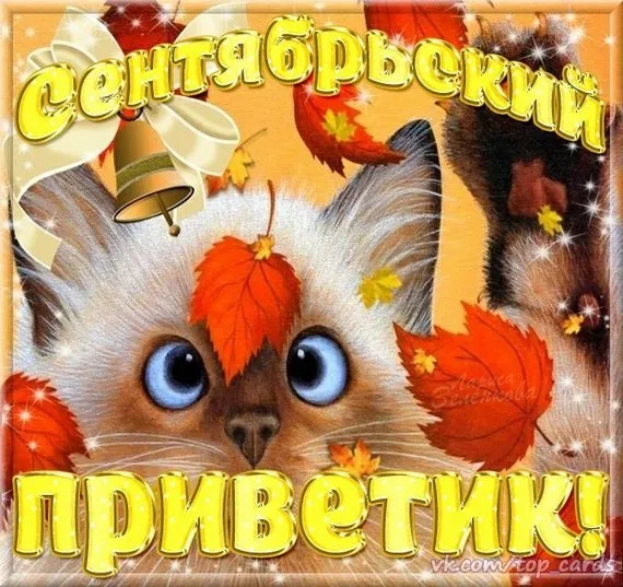 Открытка Сентябрь - Открытка с котиком на осеннюю тему  Приветствие! | Красивая открытка #1