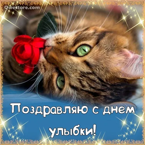 Открытка С днём улыбки - Открытка с котенком и розой | Красивая открытка #3