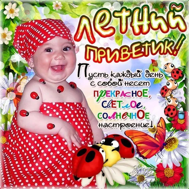 Открытка летний привет - Солнечный день с любовью! Открытка с цветами и божьей коровкой | Красивая открытка #24