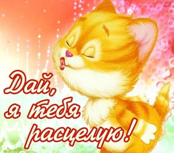Открытка С поцелуями - Открытка с котенком: милые поздравления | Красивая открытка #4