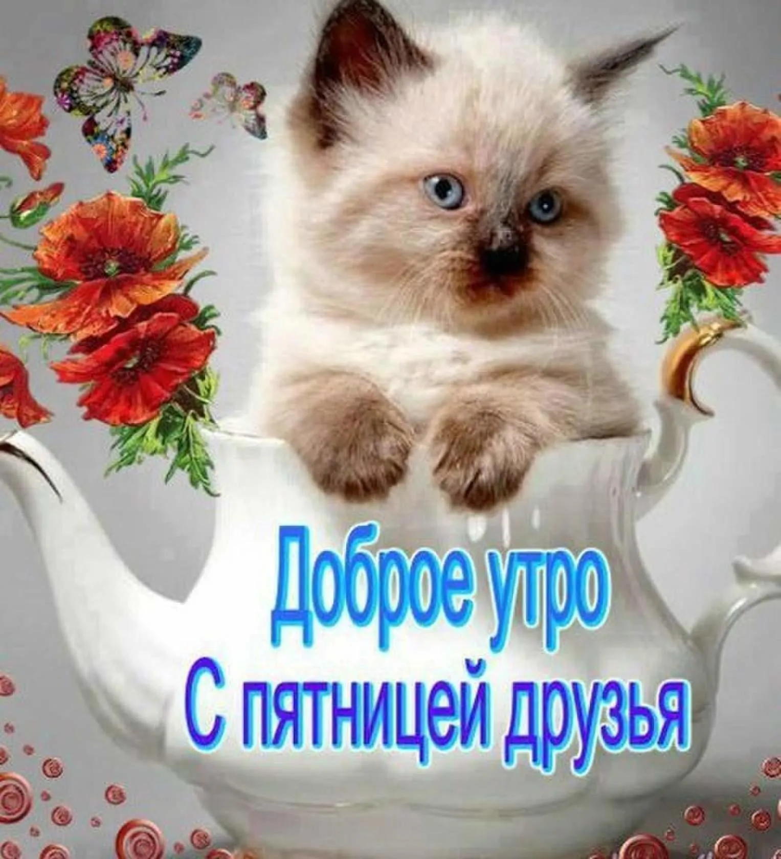 Открытка Доброе утро пятница - Доброе утро с котиком и цветами | Красивая открытка #19