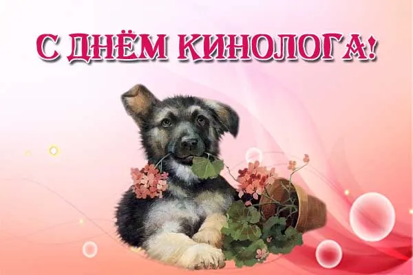 Открытка День кинолога - Открытка с щенком немецкой овчаки и цветами | Красивая открытка #5