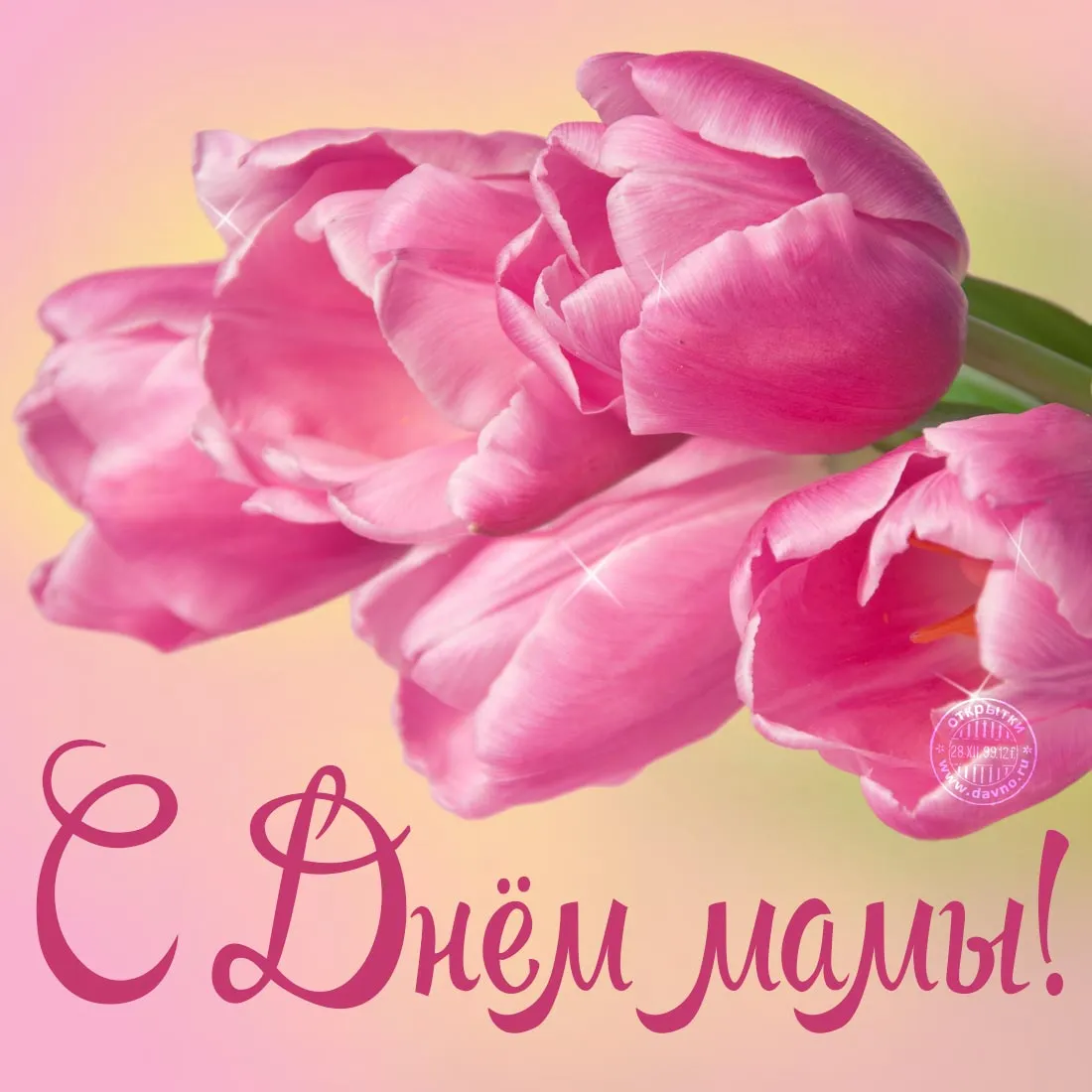 Открытка Открытки с днем матери - Открытка ко Дню Матери: нежные розовые тюльпаны | Красивая открытка #3