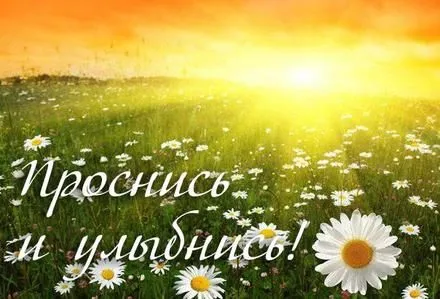 Открытка С ромашками - Поле с цветами и солнцем. Открытка. | Красивая открытка #97