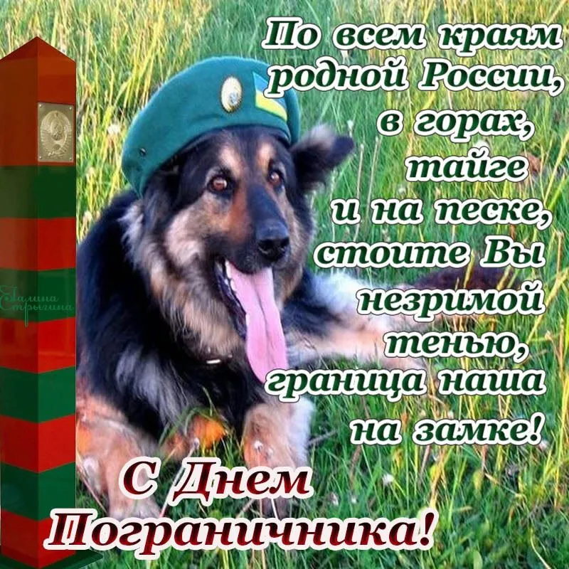 Открытка День пограничника - С Днём Пограничника! Открытка с собакой | Красивая открытка #8