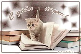 Открытка Открытки с днем российской науки - Котенок на книгах: открытка с милым котенком | Красивая открытка #9