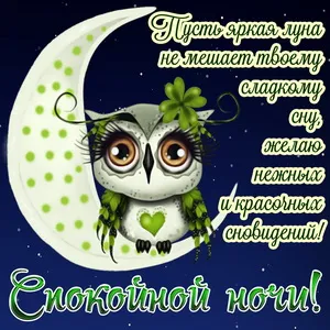 Открытка Спокойной ночи - Открытка: Сова на луне. Симпатичная сова с зелёными листьями на луне. | Красивая открытка #4