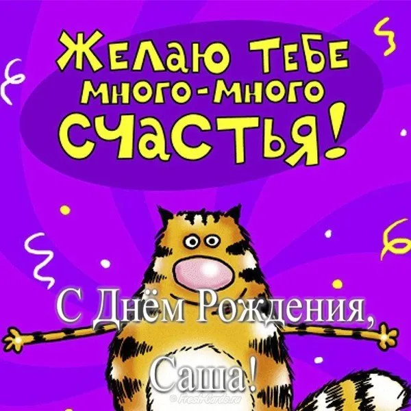 Открытка Открытки с именем Александра - Открытка с рыжим котом на день рождения | Красивая открытка #116
