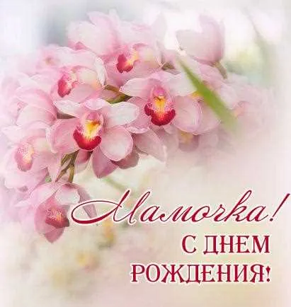 Открытка С Днем Рождения мамочке! - Открытка с розовыми орхидеями  С днем рождения | Красивая открытка #62
