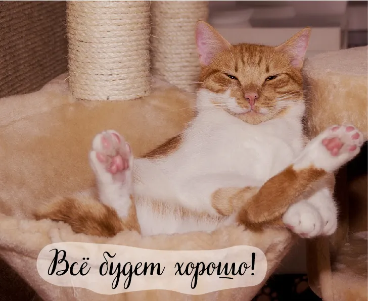 Открытка Всё будет хорошо! - Рыжий кот на когтеточке: открытка с милым котом | Красивая открытка #30