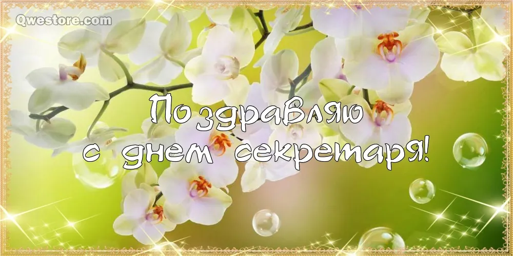 Открытка С днем секретаря - Открытка с цветами: нежная поздравительная открытка | Красивая открытка #65
