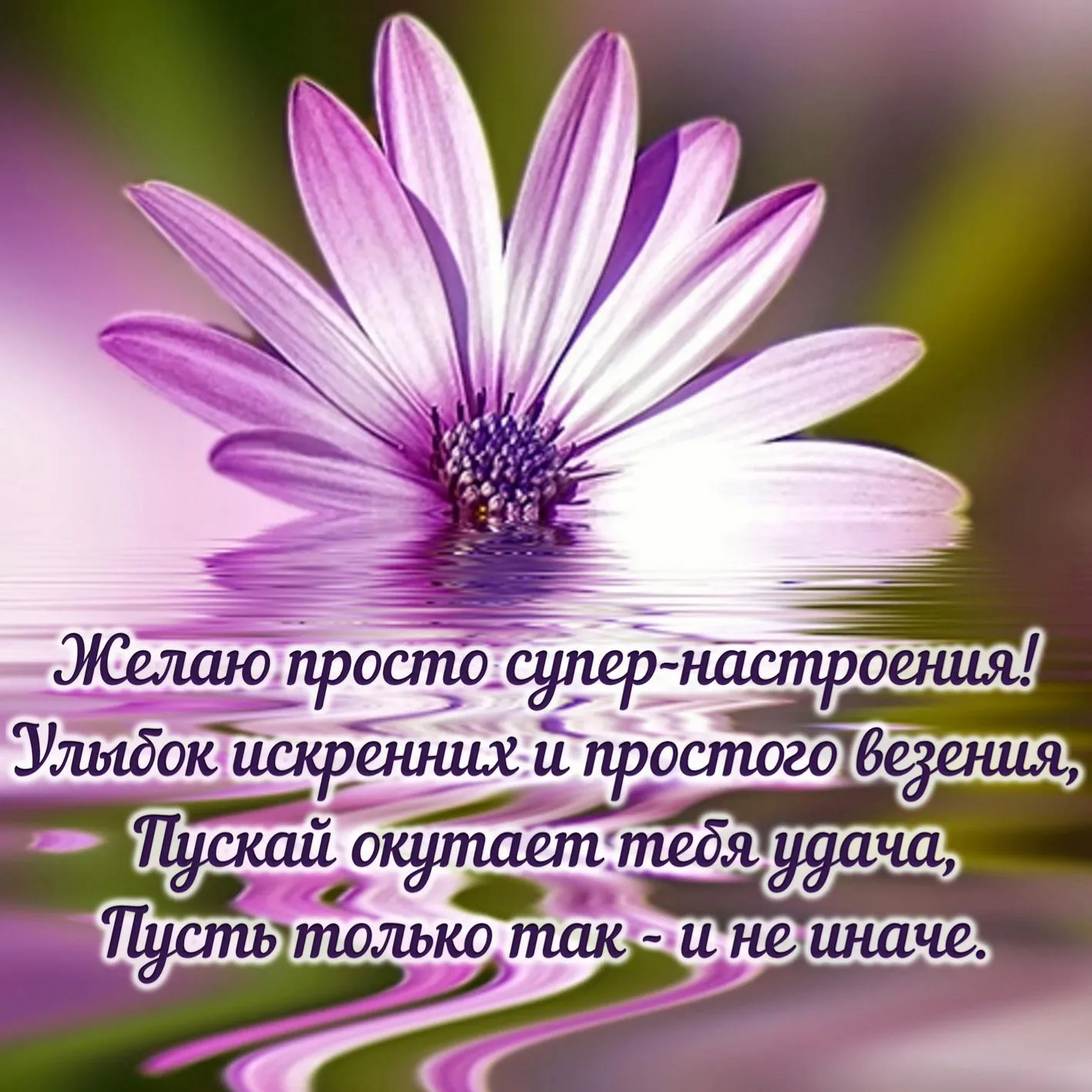 Открытка хорошего настроения - Желаю супер настроения! | Красивая открытка #169