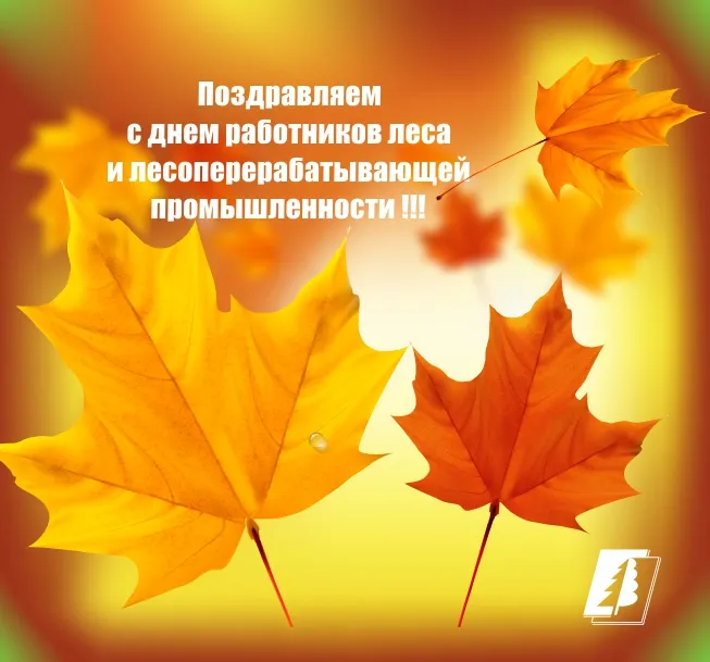 Открытка Открытки с днем работников леса - Открытка с желтыми листьями | Красивая открытка #30