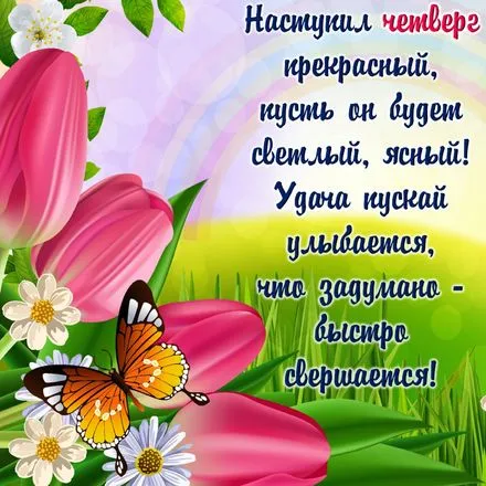 Открытка Удачного четверга - Открытка с тюльпанами и бабочкой | Красивая открытка #6
