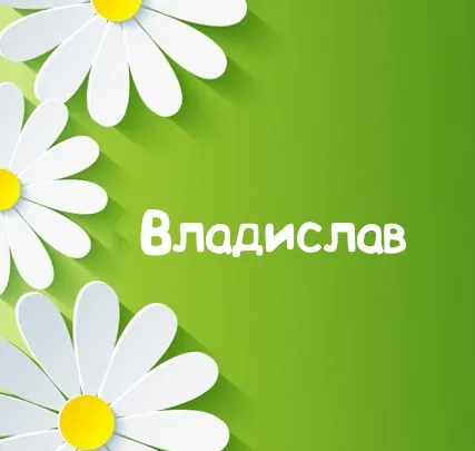 Открытка открытки с именем Владислав  - Открытка с ромашками, зеленый фон | Красивая открытка #145