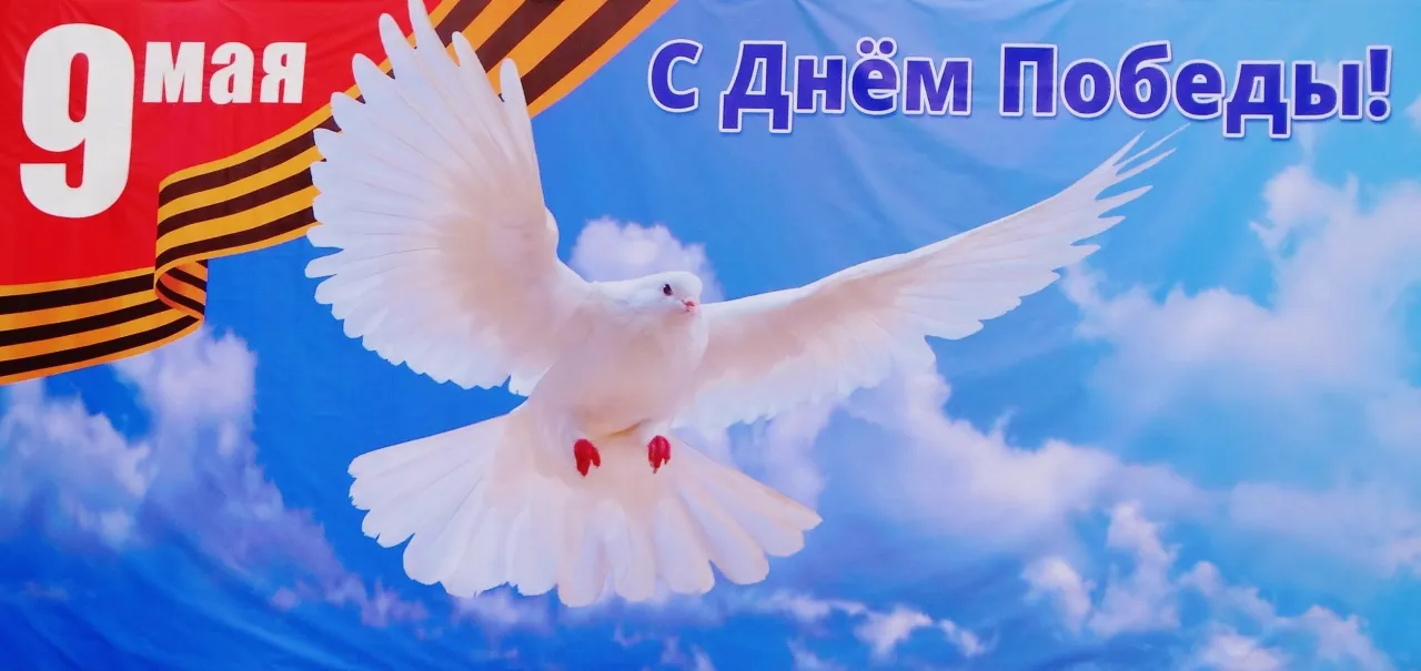 Открытка 9 мая - Белый голубь на фоне голубого неба и праздничного флага | Красивая открытка #245