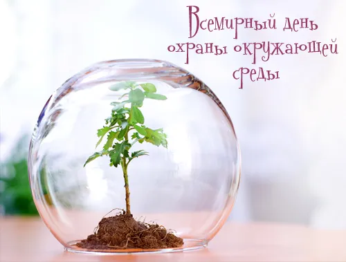 Открытка Открытки с днем эколога - Растение в стеклянном шаре: открытка с природой | Красивая открытка #36