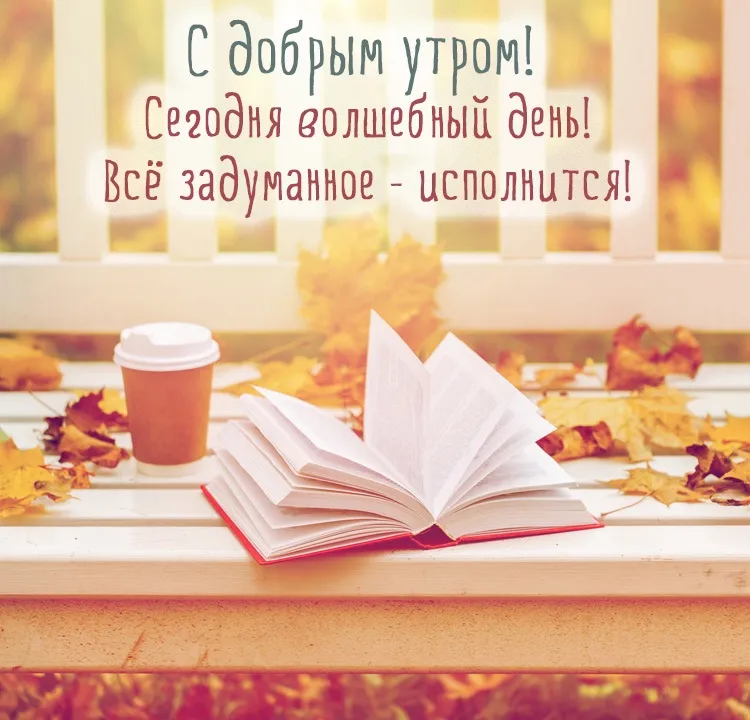 Открытка волшебного дня! - Книга, осенние листья, утренний свет | Красивая открытка #1