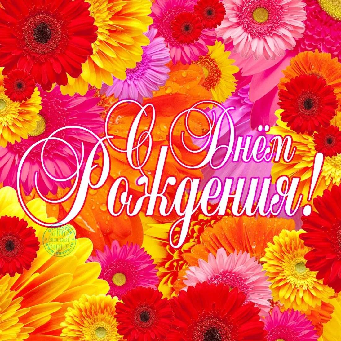 Открытка С герберами - Открытка "С Днём рождения" с цветами | Красивая открытка #14