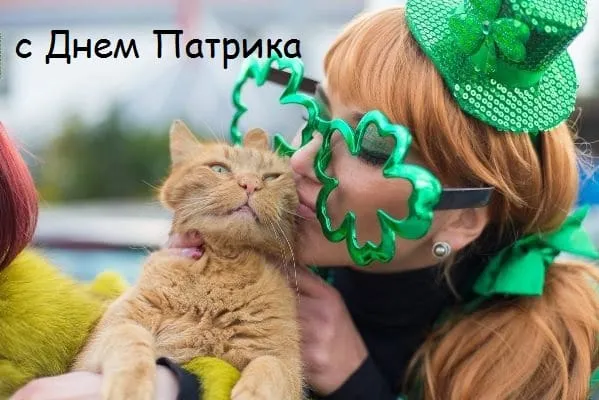 Открытка С днём Святого Патрика - Котенок на День святого Патрика: милая открытка | Красивая открытка #29