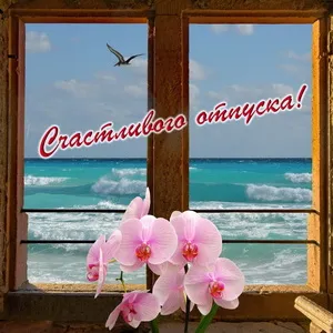 Открытка Хорошего отпуска - Открытка с видом на море и орхидеями | Красивая открытка #18