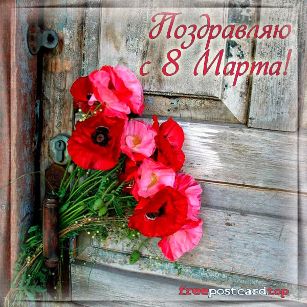 Открытка С маком - Поздравление с 8 Марта: Красные маки на фоне дерева | Красивая открытка #37
